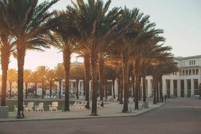 The Seaside Prize, VIE Magazine